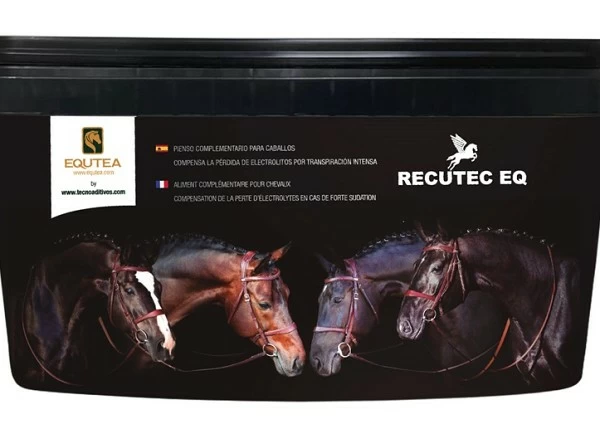 Promueva la recuperación de su caballo con RECUTEC EQ